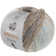 Lana Grossa MEILENWEIT 100g Merino Extrafine Shades | 7234-menta/gris claro/gris oscuro/gris marrón
