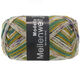 Lana Grossa MEILENWEIT 100g Modello | 4375-gris claro/caramelo/mostaza/verde oscuro/amatista