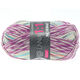 Lana Grossa MEILENWEIT 100g Norway 1:1 | 307-