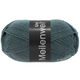 Lana Grossa MEILENWEIT 100g | 1388-gris azulado