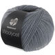 Lana Grossa MEILENWEIT 100g Woolycell | 08-gris azulado