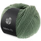 Lana Grossa MERINO PIÙ | 04-adelfas verde
