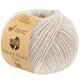 Lana Grossa NATURAL ALPACA Pelo | 022-cáscara mezcla