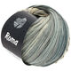 Lana Grossa ROMA | 102-gris claro/gris verde/plata