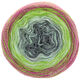 Lana Grossa SHADES OF MERINO COTTON | 617-gris oscuro/gris claro/menta/oliva claro/oliva/fucsia