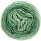 Lana Grossa SLOW WOOL LINO Dégradé | 203-verde pastel/gris verde/verde patina