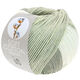 Lana Grossa SOFT COTTON Dégradé | 114-blanco/gris plata/gris claro/gris