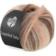 Lana Grossa SUPERKID SETA | 110-beige claro/melocotón/salmón/gris marrón