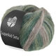 Lana Grossa SUPERKID SETA | 113-gris claro/gris verde/verde lima/verde oscuro/verde abeto