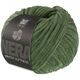 Lana Grossa WINTER SOFTNESS (Nera) | 04-verde bosque