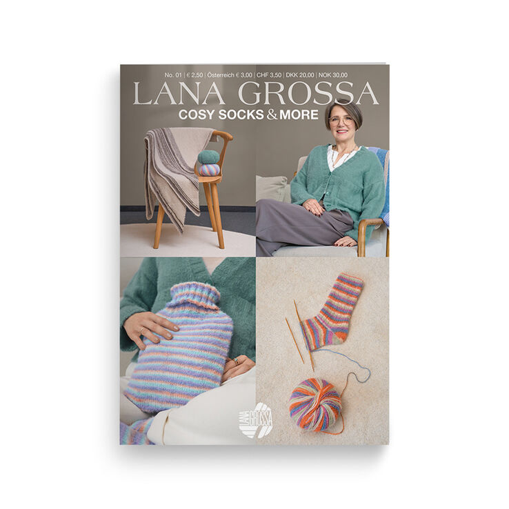 Cosy Socks & More Booklet - Edición alemana de Lana Grossa