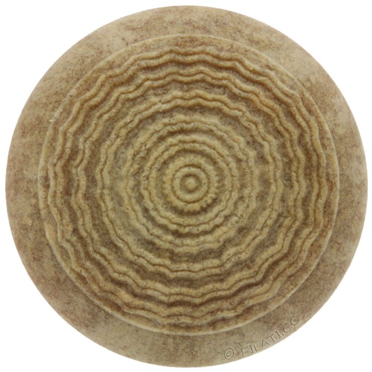 BUDKE 40/25mm | 867-naturaleza