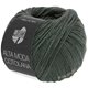 Lana Grossa ALTA MODA COTOLANA | 46-gris verde
