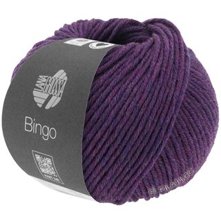 Lana Grossa BINGO Mélange (We Care)