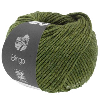 Lana Grossa BINGO Mélange (We Care)