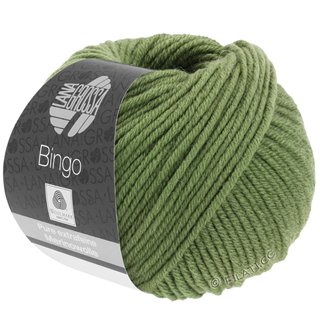 Lana Grossa BINGO  Uni/Melange