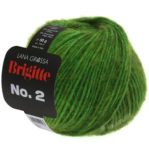Lana Grossa BRIGITTE NO. 2 | 01-verde