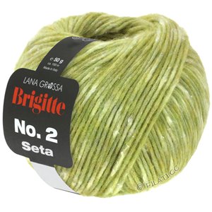 Lana Grossa BRIGITTE NO. 2 Seta | 05-verde claro mezcla