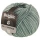 Lana Grossa BRIGITTE NO. 2 Vintage | 207-gris verde mezcla