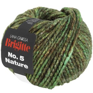 Lana Grossa BRIGITTE NO. 5 Nature | 103-verde/marrón mezcla