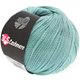 Lana Grossa 365 CASHMERE | 21-azul hielo