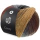 Lana Grossa CANDY | 10-gris claro/gris/gris oscuro/negro/marrón oscuro/gris marrón/camello/azul acero/rojo marrón/palo de rosa/lana blanca