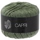 Lana Grossa CAPRI | 19-caqui