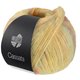 Lana Grossa CASSATA | 09-amarillo pálido/amarillo limón/rosa vieja/gris azul/gris violeta