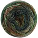 Lana Grossa COLORISSIMO 2 | 216-verde claro/verde/octanaje/octanaje oscuro/rojo marrón/chocolate marrón/borgoña/gris