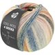 Lana Grossa COOL WOOL 4 SOCKS PRINT | 7768-turrón/naturaleza/gris claro/gris verde/verde beige/salmón/rosa pálido/gris azulado