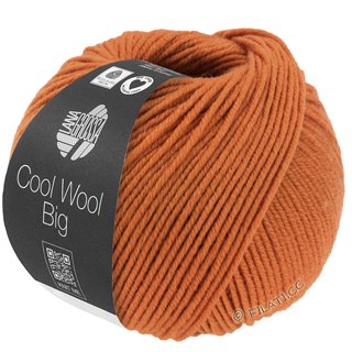Lana Grossa COOL WOOL Big  Uni/Melange