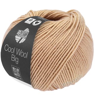 Lana Grossa COOL WOOL Big Uni/Melange