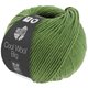 Lana Grossa COOL WOOL Big Mélange (We Care) | 1634-verde mezcla