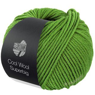 Lana Grossa COOL WOOL Superbig