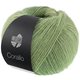 Lana Grossa CORALLO 100g | 09-gris verde/verde salvia/verde reseda