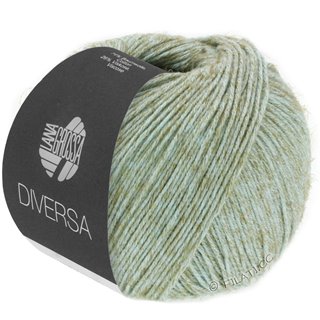 Lana Grossa DIVERSA