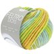 Lana Grossa FELTRO Dots | 1223-menta/verde claro/gris verde/amarillo