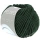Lana Grossa FELTRO | 119-verde bosque