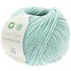 Lana Grossa FOURSEASON (Linea Pura) | 39-menta