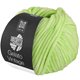 Lana Grossa GELATO Vintage | 107-verde primavera/blanco