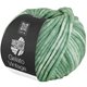 Lana Grossa GELATO Vintage | 108-adelfas verde/blanco