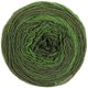 Lana Grossa GOMITOLO 200 Dégradé | 312-verde oscuro/loden