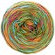 Lana Grossa GOMITOLO DENIM GRAFFITI | 352-verde/naranja/fucsia/turquesa/oliva