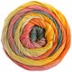 Lana Grossa GOMITOLO DOPPIO | 203-naturaleza/beige/palo de rosa/amarillo/naranja/calabaza/gris