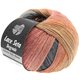Lana Grossa LACE Seta Dégradé 50g | 113-beige/salmón/clavel/gris claro/pizarra