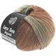 Lana Grossa LACE Seta Dégradé 50g | 115-naturaleza/gris verde/turrón/chocolate marrón