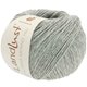 Lana Grossa LANDLUST Alpaka Merino 160 | 407-gris claro