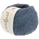 Lana Grossa LANDLUST Alpaka Merino 160 | 411-gris azul