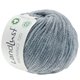 Lana Grossa LANDLUST MERINO 120 (GOTS & ICEA) | 125-gris azulado