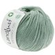 Lana Grossa LANDLUST MERINO 120 (GOTS & ICEA) | 136-verde plata